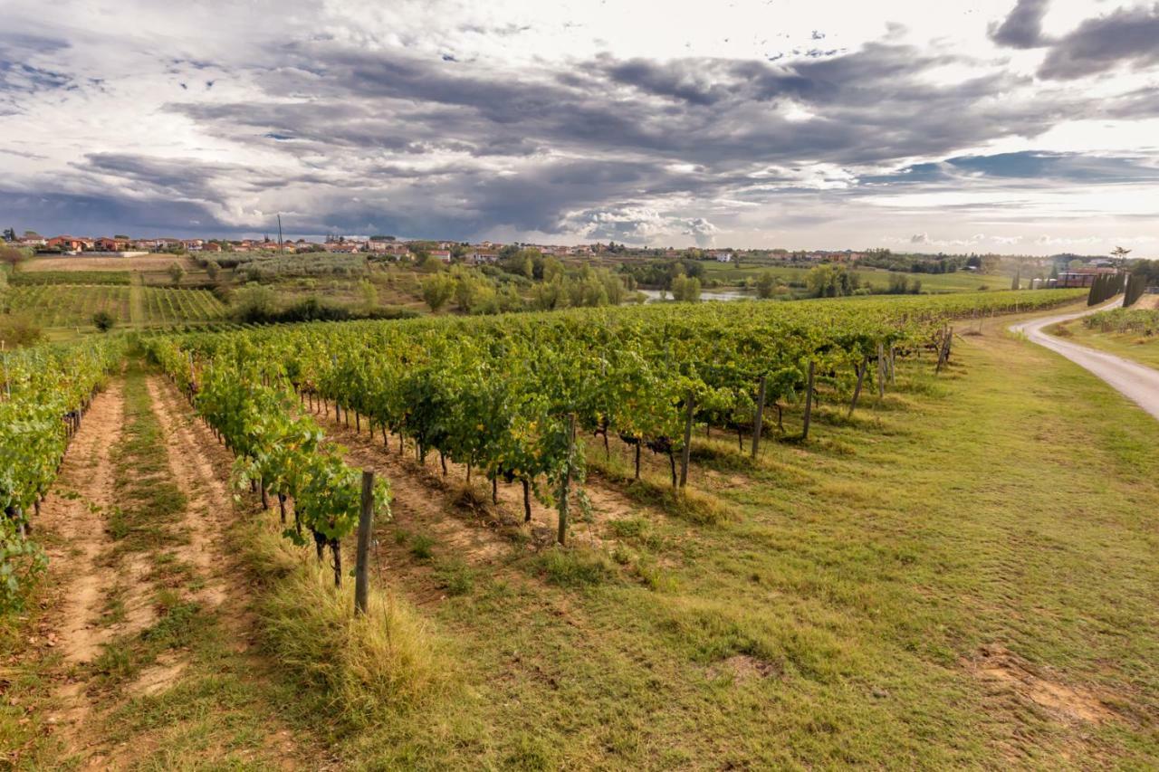 Agriturismo Tenute Poggio Di Bobi Villa Lamporecchio Dış mekan fotoğraf
